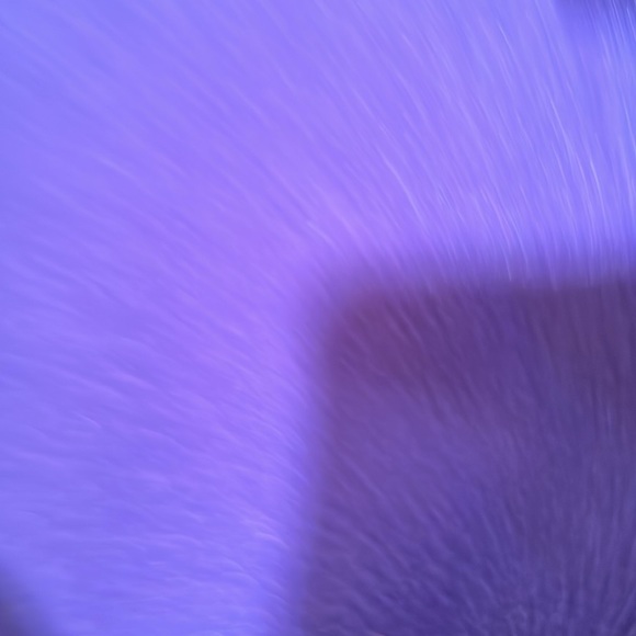 Maurices black ankle boots, great condition low heel boots/snap buckle size 9 - Picture 8 of 12